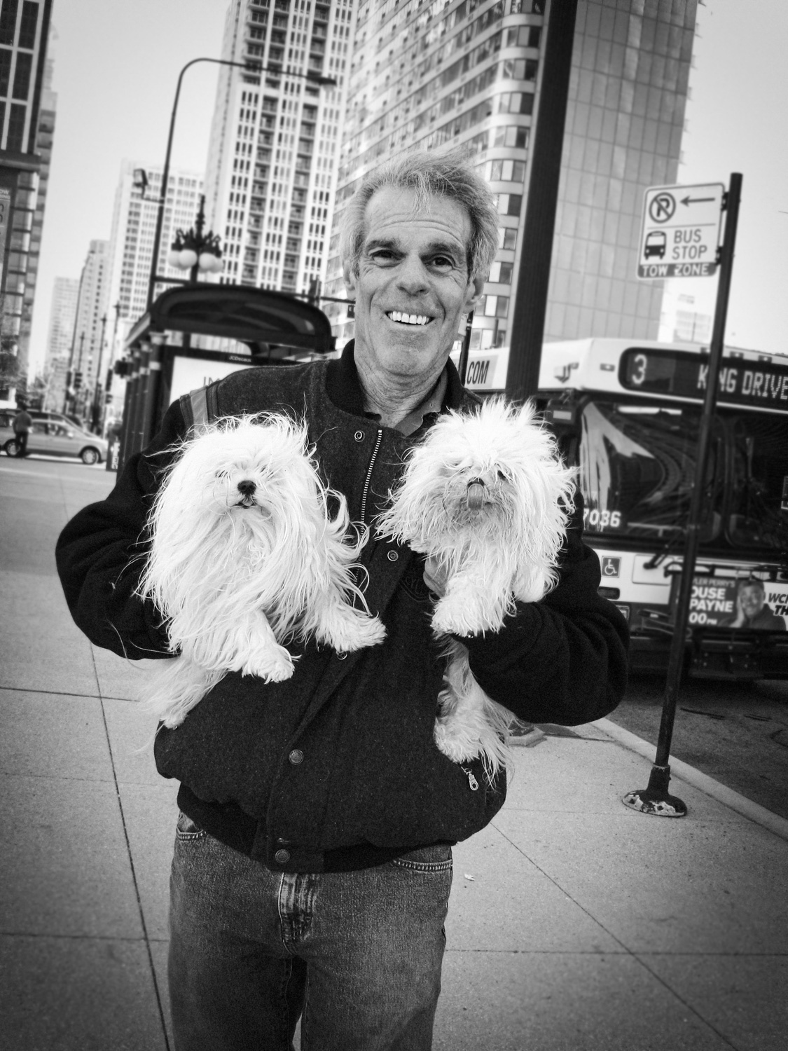 brian-sorg-dogs-036